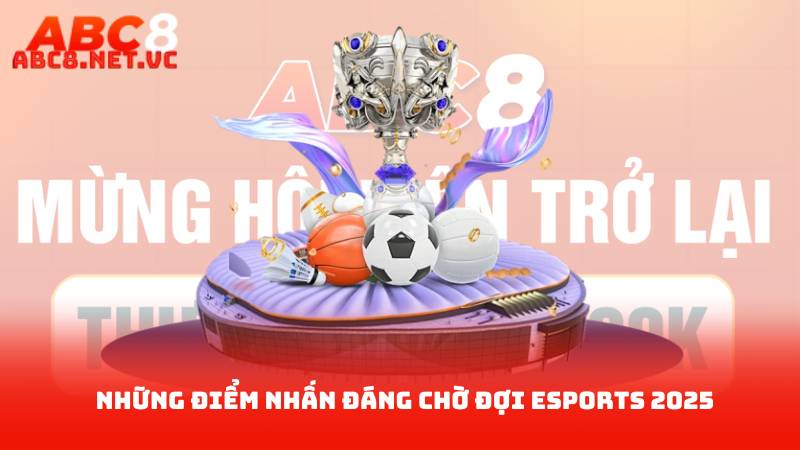 Giải Đấu Esports 2025 – Danh Sách Đội Tuyển Tham Gia 2 Những Điểm Nhấn Đáng Chờ Đợi Esports 2025